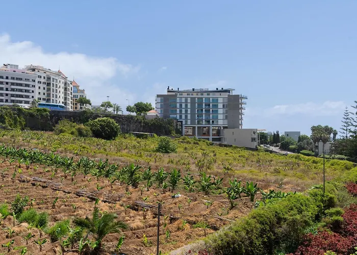 Ajuda-madeira By An Island Διαμέρισμα *